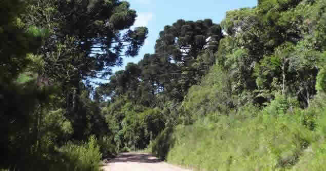 Walker Family Nature Sanctuary Piraquara Brazil